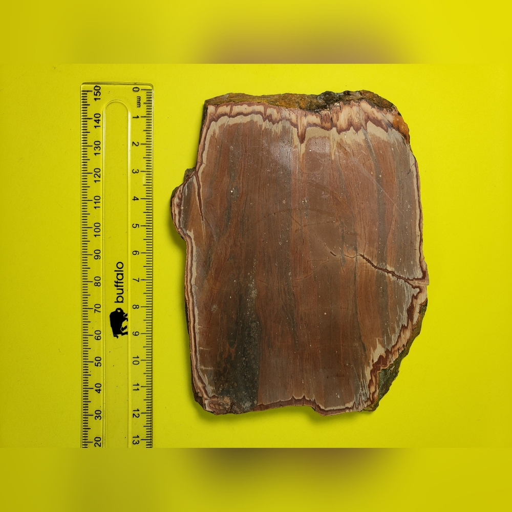 Genuine Rock Stone Slice